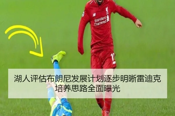 湖人评估布朗尼发展计划逐步明晰雷迪克培养思路全面曝光