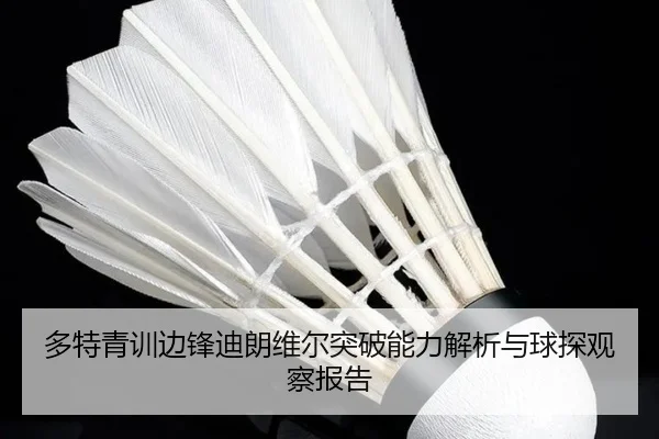 多特青训边锋迪朗维尔突破能力解析与球探观察报告